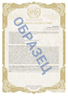 Образец Приложение к СТО 01.064.00220722.2-2020 Лебедянь Сертификат СТО 01.064.00220722.2-2020 